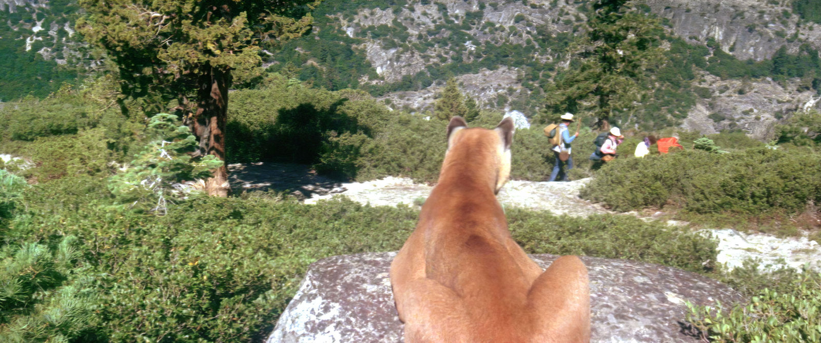 Panik in der Sierra Nova - 2-Disc Mediabook