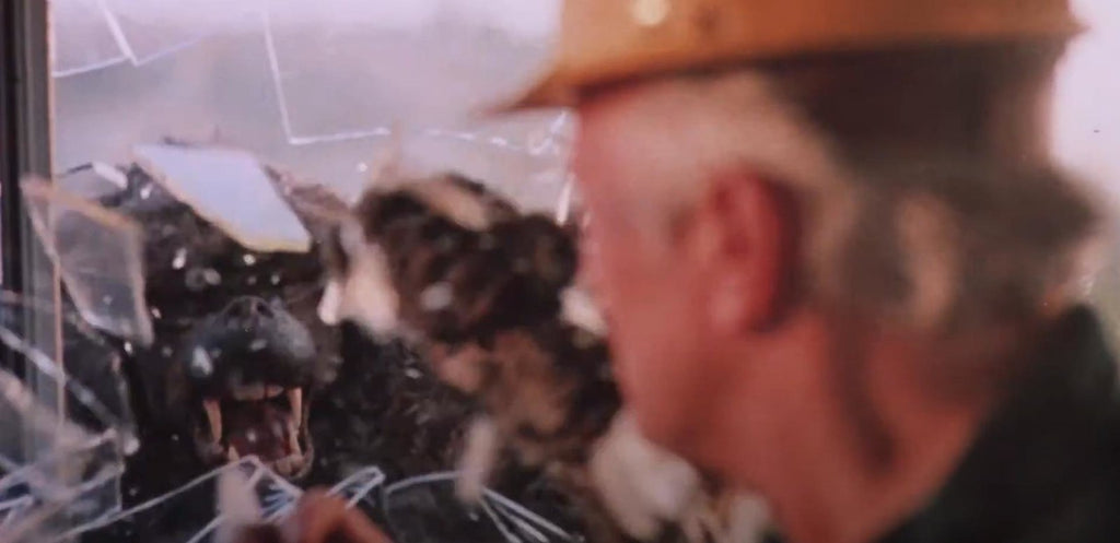 IM SCHATTEN DES KILIMANDSCHARO I REMASTERED UNCUT