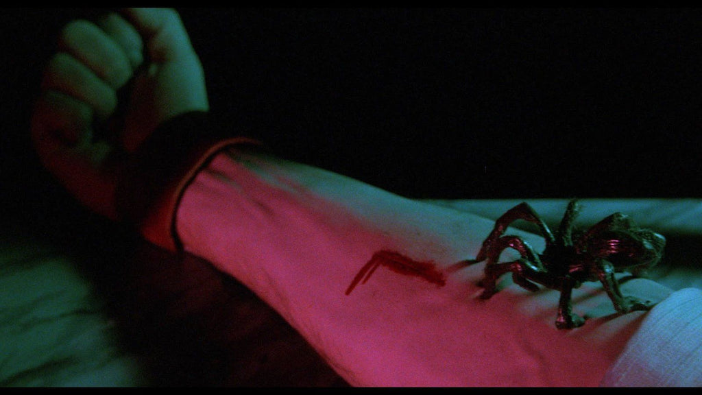 Spider Labyrinth | Italo Cinema Collection - Sammelschuber