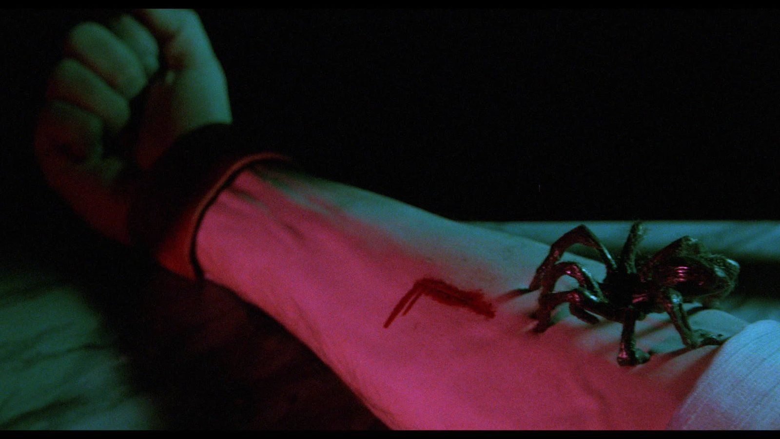 Spider Labyrinth | Italo Cinema Collection - Sammelschuber